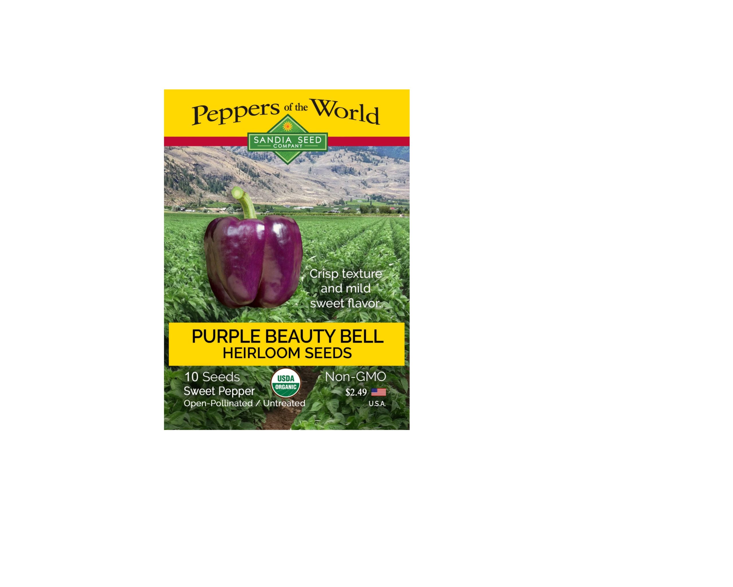 1652952258Purple-Bell-Pepper-Seeds.jpg