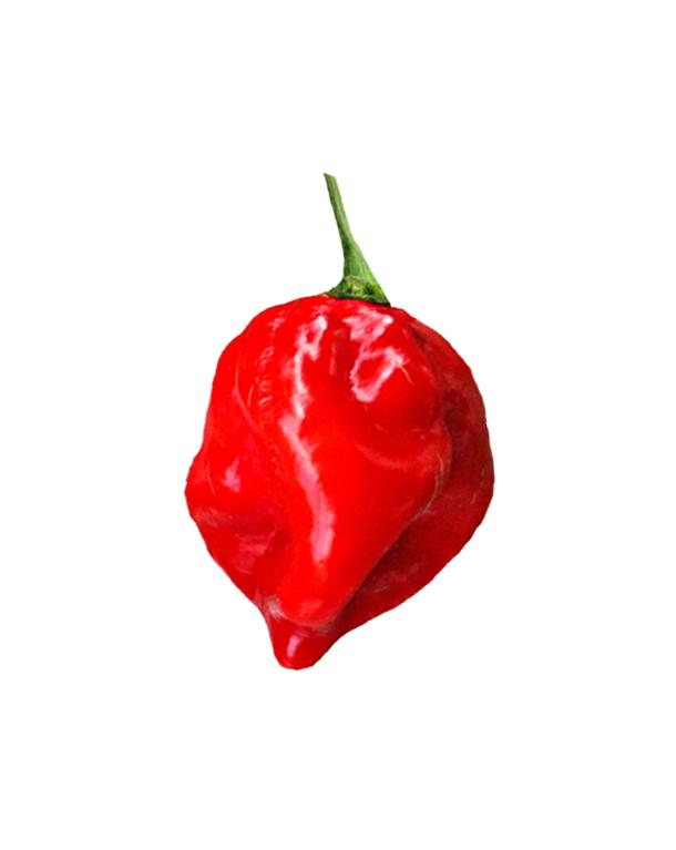 1652971882HabaneroRedpepperpicsmaller.jpg