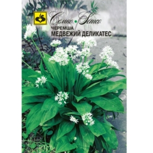 بذور الثوم المعمر البري