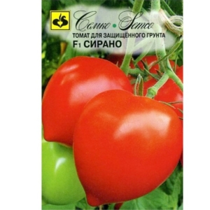 بذور الطماطم -Cyrano- صنف هجين F1