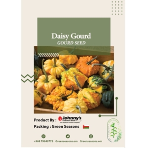 بذور القرع Daisy Gourd