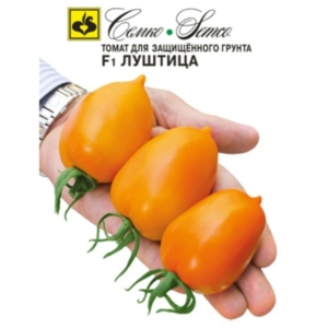 بذور الطماطم Lushtitsa F1