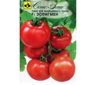 بذور الطماطم - Esfigmen F1
