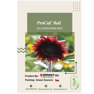 بذور دوار الشمس ProCut Red F1