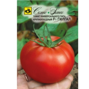 بذور الطماطم جلجال F1