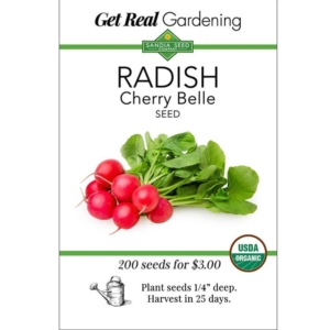 بذور الفجل الاحمر Cherry Belle Radish