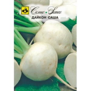 بذور الفجل الأبيض المدور