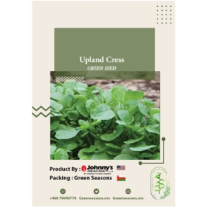 بذور Upland Cress