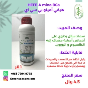 HEFE A MINO BCA
