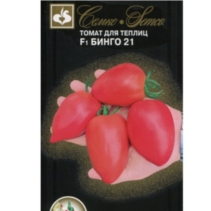 بذور الطماطم - ألبينجو 21- هجين F1