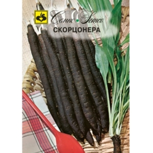 بذور الجذر الأسود