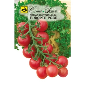 طماطم شيري - Forte Rose - هجين F1