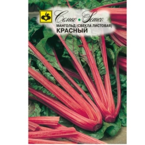 بذور السلق السويسري الأحمر