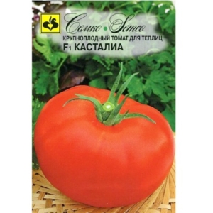 بذور الطماطم Castalia F1