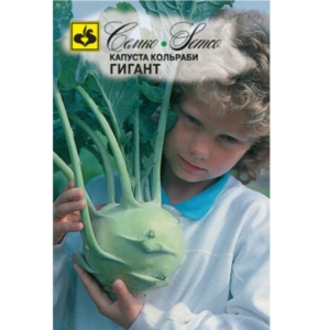 بذور الكولورابي (العملاق)