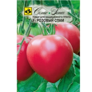 طماطم بينك سبام هجين F1