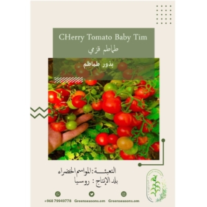 بذور الطماطم القزمي بيبي تيم