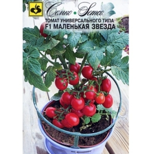 بذور الطماطم القزمي الهجين Little Star F1