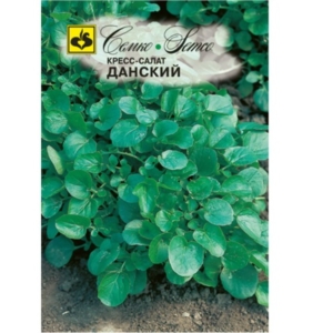 بذور الجرجير - دانسكي