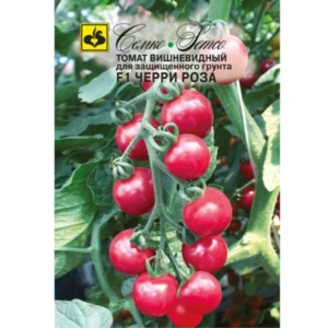 بذور الطماطم الكرزي Rosa F1