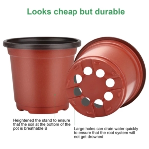 عدد 10 أصص حجم 8.5*9.5سم