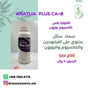 ANATLIA PLUS CA+B