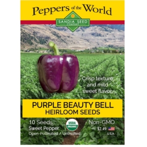 بذور الفلفل Purple Beauty Bell