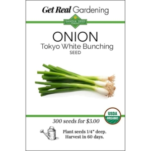 بذور البصل الاخضر Tokyo White Bunching Onion