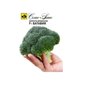 بذور بروكلي فييستا F1