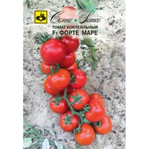 بذور طماطم شيري - Forte Mare - هجين F1