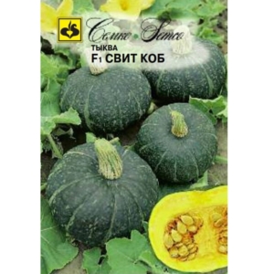 بذور اليقطين   Sweet Cob F1ن