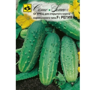 بذور الخيار -Regia- هجين F1