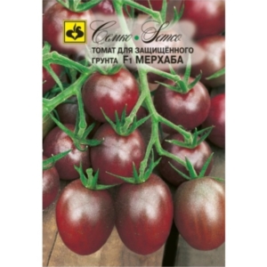 طماطم شيري - مرحبا - هجين F1