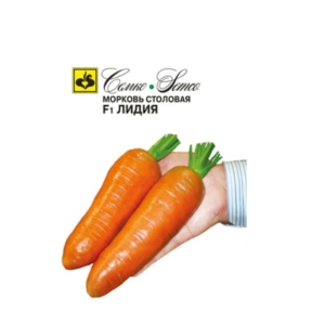 بذور الجزر ليديا - هجين F1