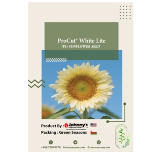 بذور دوار الشمس الأبيض ProCut® White Lite(F1)
