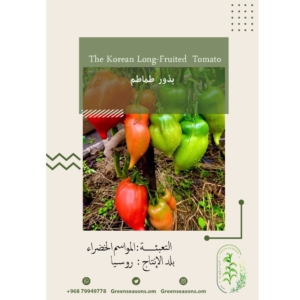 بذور الطماطم The Korean Long fruited