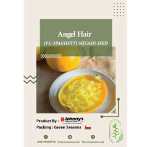 بذور القرع الأصفر Angle Hair F1 Spaghetti Squash Seeds
