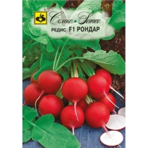 الفجل الأحمر – روندار -هجين F1