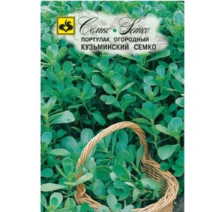 بذور الرجلة