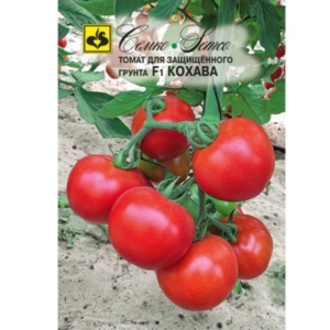 بذور الطماطم -. كوهاوا F1