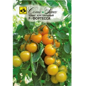 طماطم كرزي - فورتيسا- هجين F1