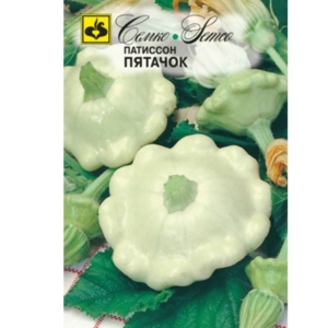 بذور السكواش باتيسون بيجليت