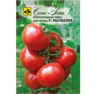 طماطم - مالفاسيا- هجين F1