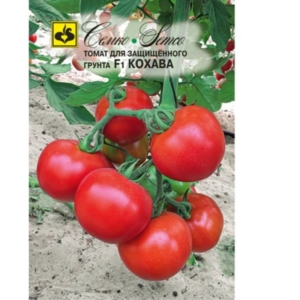 بذور الطماطم -. كوهاوا F1