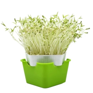 وعاء للإستنبات مكون من 3 قطع