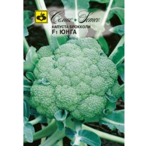 بذور البروكلي جونغ F1