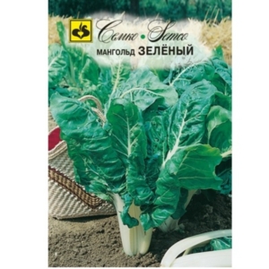 بذور السلق السويسري الأخضر