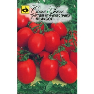 بذور طماطم شيري - Brixol - هجين F1