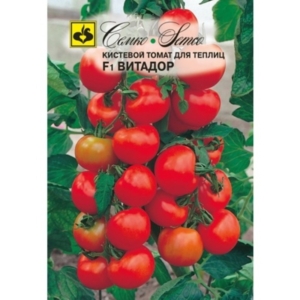 بذور طماطم شيري - Vitador - هجين F1