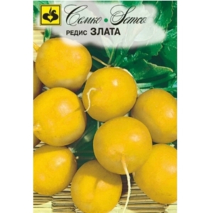 بذور الفجل الأصفر المدور